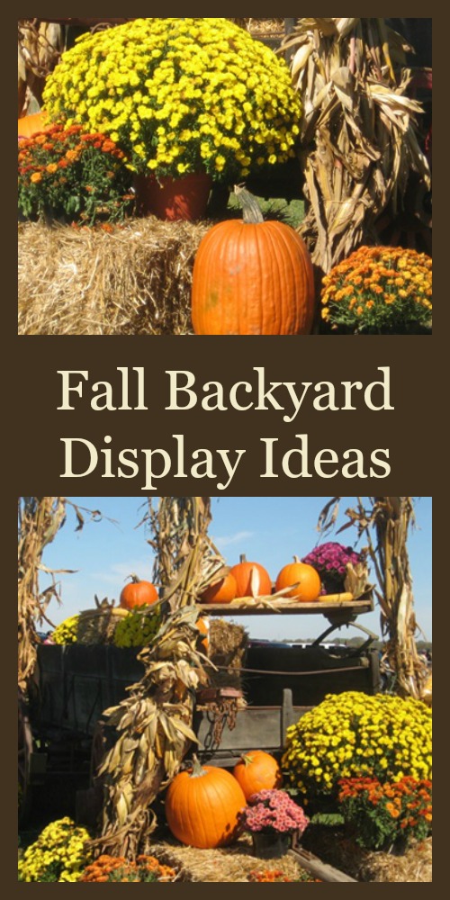 Fall Backyard Display Ideas