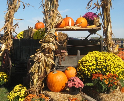fall backyard displays with corn stocks pumpkins mums straw old wagon