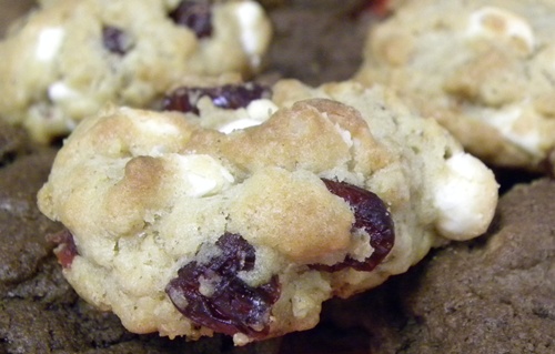 Cookies White Chocolate Chunk cranberry