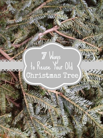 7 ways to reuse Christmas tree