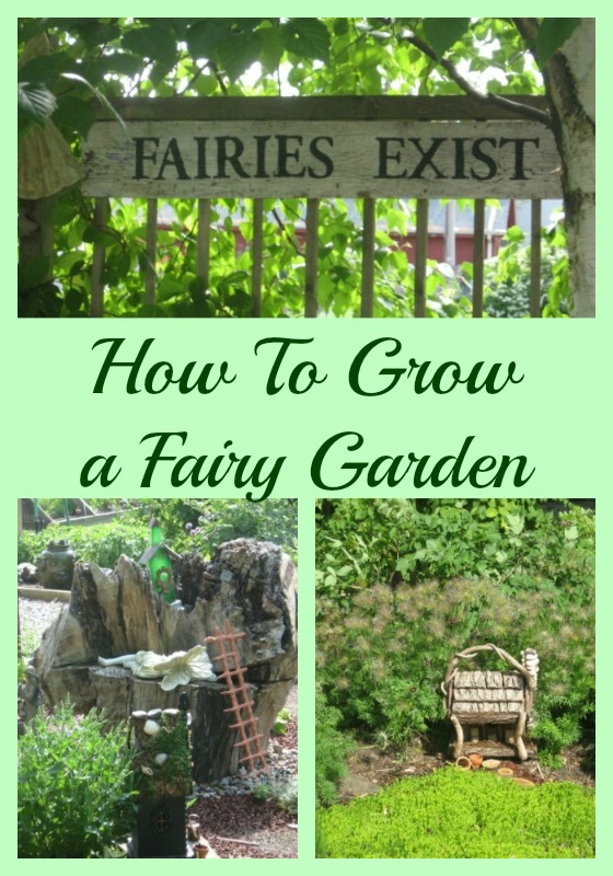 how to grow a fairy garden