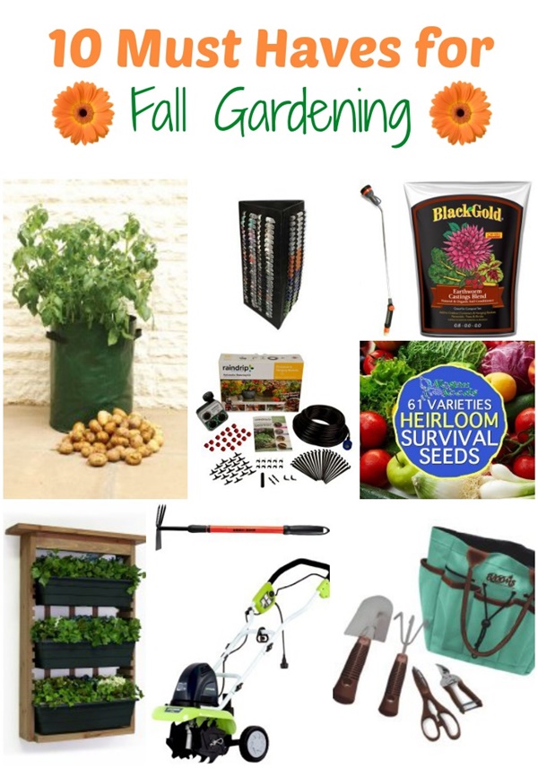 10 Must Haves for Fall Gardening