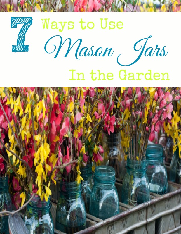 7 Ways To Use Mason Jars In The Garden