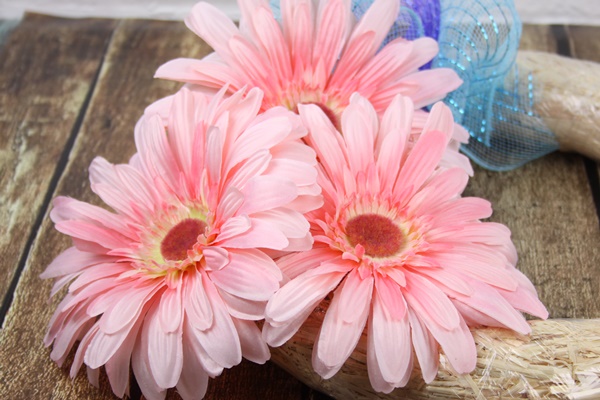 Fun colorful spring wreath diy with daisies